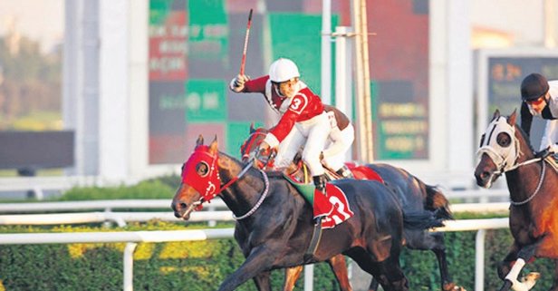 Ebru Gündeş, atını sattı #3