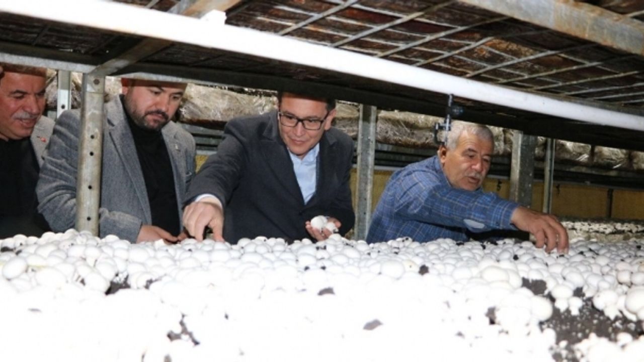 Milletvekili Uslu: “Korkuteli mantarı Türkiye markası”