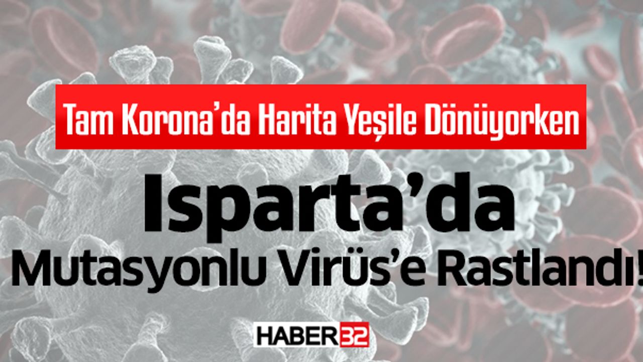 Isparta'da Mutasyonlu Virüs'e Rastlanıldı!