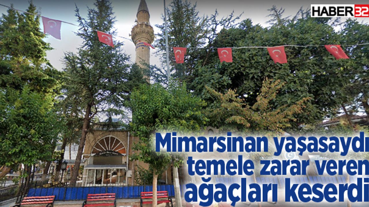 Mimarsinan yaşasaydı camiye zarar veren ağaçları keserdi