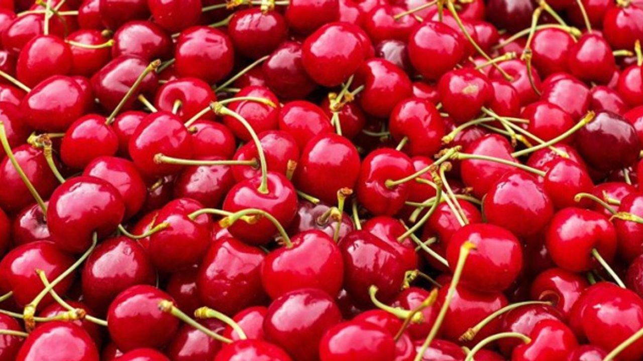 Uluborlu kirazı neden ihrac edilir?