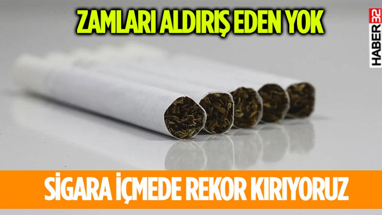 Türkiye'de Her 4 Kişiden Biri Sigara İçiyor