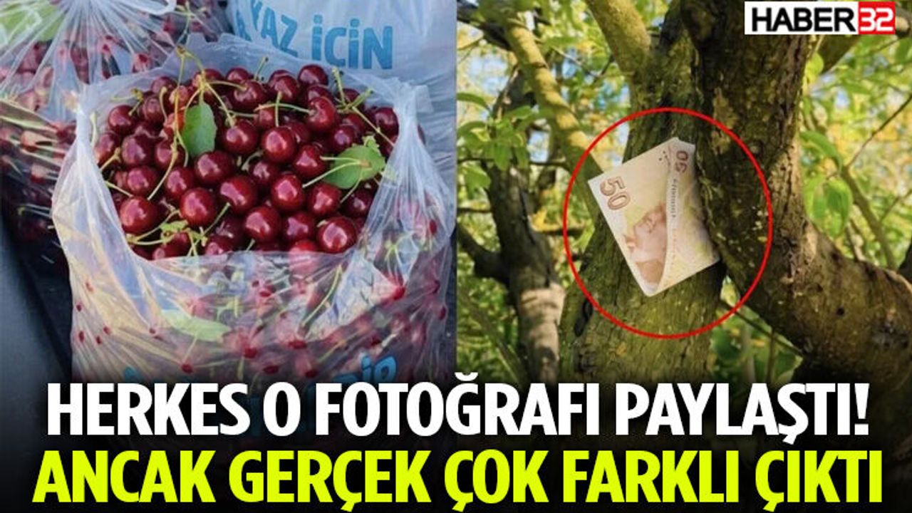 Herkes O Fotoğrafı Paylaştı! Ancak Gerçek Çok Fark