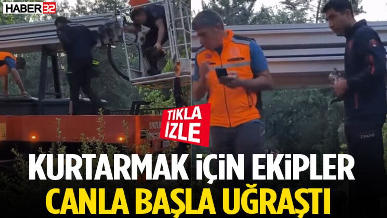 Kurtarmak İçin Ekipler Canla Başla Uğraştı