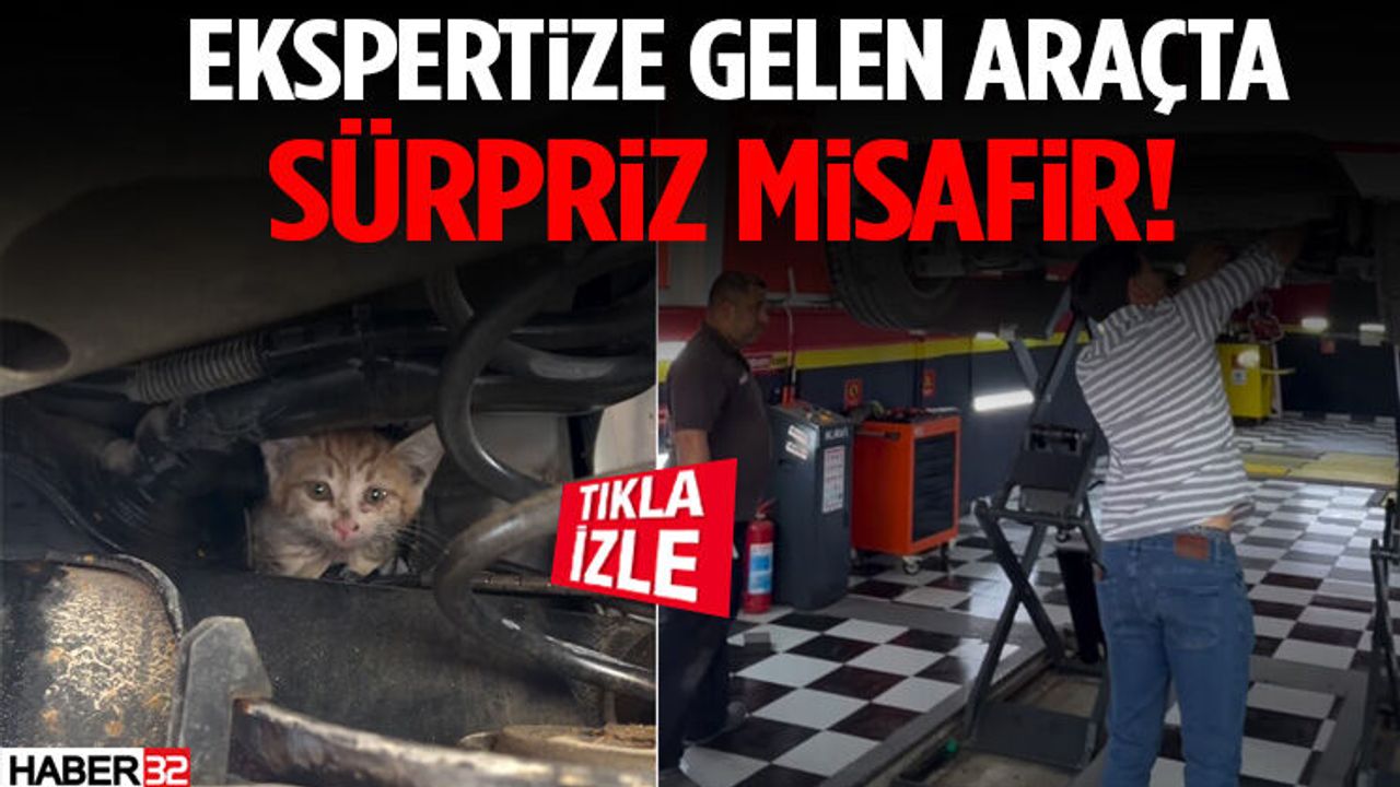 Ekspertize Gelen Araçta Sürpriz Misafir!