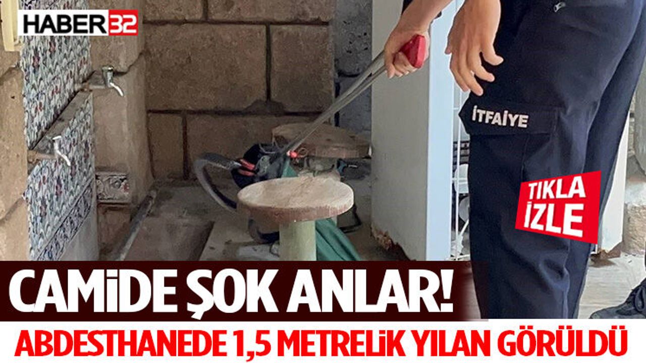 Camide Şok Anlar! Abdesthanede 1,5 Metrelik Yılan Görüldü