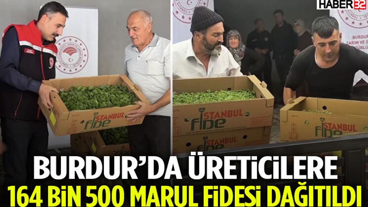 Burdur’da Üreticilere 164 Bin 500 Marul Fidesi Dağıtıldı - Isparta Haber | Isparta Son Dakika Haberleri