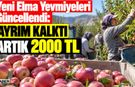 Yeni Elma Yevmiyeleri Güncellendi: Artık 2000 TL