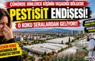 Çünür'de Pestisit Endişesi! Keskin Koku Çevreye Yayılıyor!