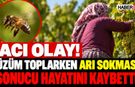 Acı Ölüm! Üzüm Toplarken Arı Sokması Sonucu Öldü!