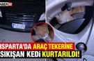 Isparta’da Araç Tekerine Sıkışan Kedi Kurtarıldı!