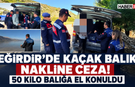 Eğirdir’de Kaçak Balık Nakline 47 Bin TL Ceza!