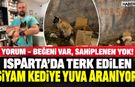 Yorum - Beğeni Çok, Sahiplenen Yok!