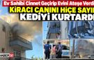 Ev Sahibi Ateşe Verdi, Kiracı Tırmanarak Kediyi Kurtardı!