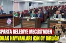 Belediye Meclisi'nde Sokak Hayvanları İçin Oy Birliği!