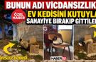 Bunun Adı: Vicdansızlık! Kutuyla Sanayiye Bırakıp Gittiler!