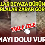Yollar Beyaza Büründü, Tarlalar Zarar Gördü