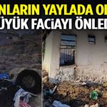 Koyunların Yaylada Olması Büyük Faciayı Önledi