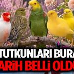 Kuş Tutkunları Buraya! Tarihi Belli Oldu