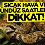 Sıcak Hava ve Gündüz Saatlerine Dikkat!