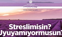 Ispartalı firma yaptı! Artık strese uykusuzluğa son