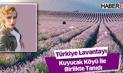 Türkiye Lavantayı Kuyucak Köyü İle Birlikte Tanıdı