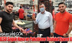 Başkan Veli GÖK GELSO Soğuk Hava ve Paketleme Tesisini Ziyaret Etti.