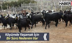 "Köyümde Yaşamak İçin Bir Sürü Nedenim Var"