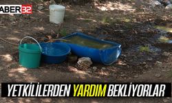 Yetkililerden Yardım İstiyorlar