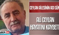 Ali Ceylan hayatını kaybetti