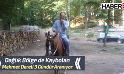 Dağlık bölgede kaybolan Mehmet Dereli aranıyor