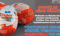 Türkiye'deki Kinder sürpriz yumurtada salmonella var mı?