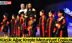 Küçük Ağaç Kreşte Mezuniyet Coşkusu