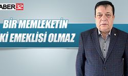 Bir memleketin 2 emeklisi olmaz