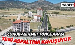 Çünür-Mehmet Tönge arası yeni asfaltına kavuşuyor