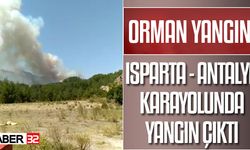 Isparta-Antalya yolunda orman yangını