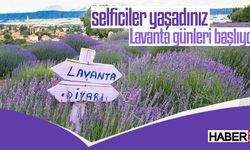 Isparta'da Lavanta Günleri hazırlık toplantısı