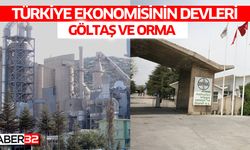 Türkiye Ekonomisinin Devleri: GÖLTAŞ ve ORMA