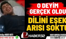 Dilini eşek arısı soktu