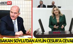 Bakan Soylu'dan Milletvekili Cesur'a Cevap
