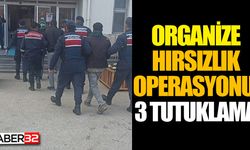 Organize hırsızlığa 3 tutuklama