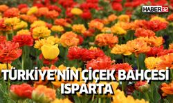Isparta’da ilkbaharın renkli havası çiçeklere yansıyor