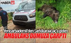 Ambulans Şarkikaraağaç yolunda domuza çarptı