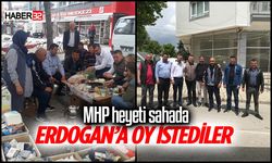 MHP heyeti sahada Erdoğan'a oy istediler