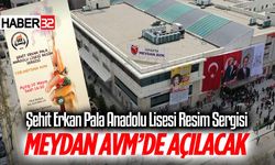 Şehit Erkan Pala Anadolu Lisesi resim sergisi Meydan AVM'de açılacak