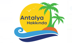 Antalya'nın En Güvenilir Haber Sitesi Hangisi