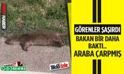 Gören Herkes Şaşırdı, araba çarpmış..