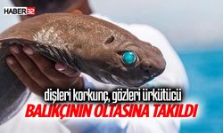 Antalya'da balıkçının oltasına takıldı