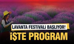 Isparta'da Lavanta Festivali Düzenlenecek: İşte Program!