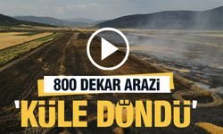 Dehşet Verici Yangın: 800 Dekar Tarım Arazisi Küle Döndü!